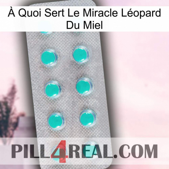 À Quoi Sert Le Miracle Léopard Du Miel 28.jpg